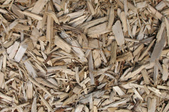biomass boilers Gallowstree Common